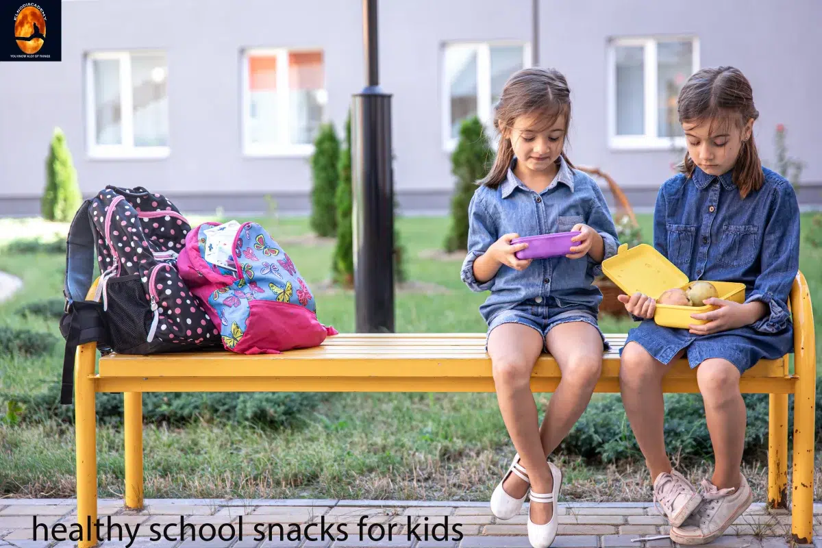 Healthy School Snacks For Kids