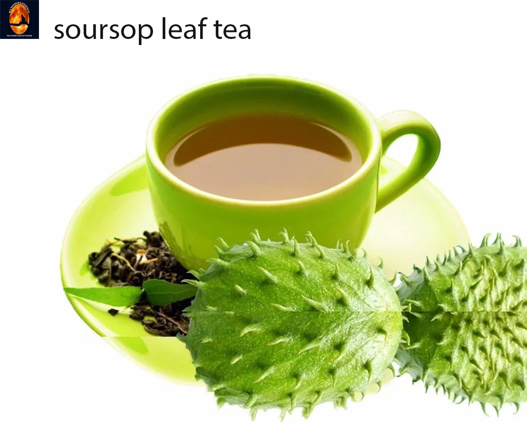 Soursop Leaf Tea 