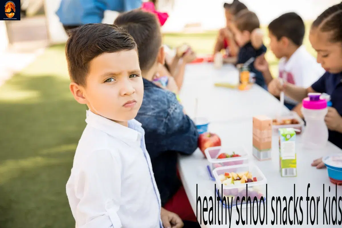 Healthy School Snacks for Kids 