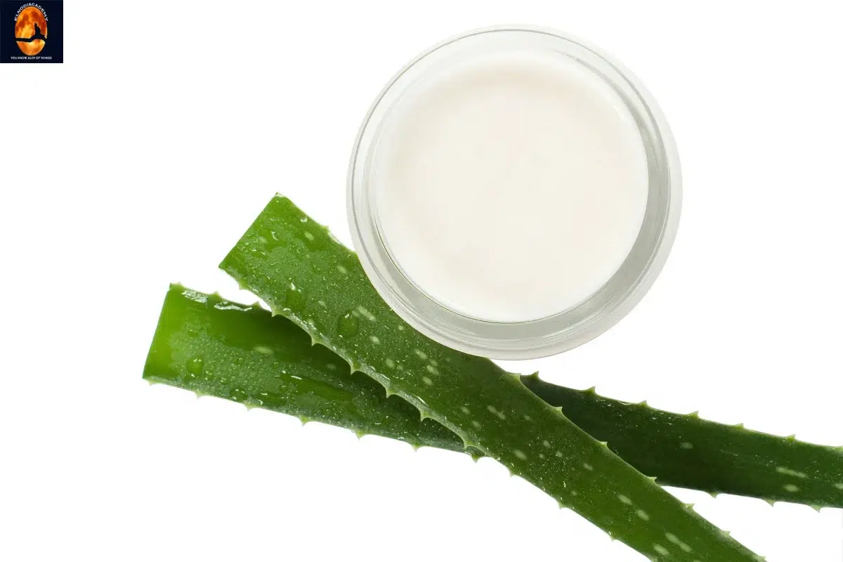 Ointment From A Soursop Leaf