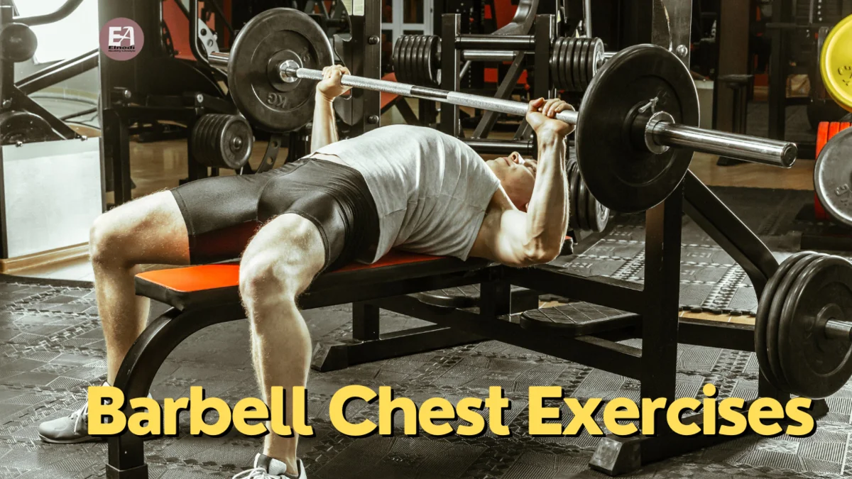 Best Barbell Chest Exercises That Work Your Chest Muscles